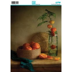 کاغذ دکوپاژ سایز A4 کد 6273