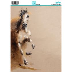 کاغذ دکوپاژ سایز A4 کد 6291