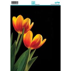 کاغذ دکوپاژ طرح گل سایز A4 کد 6292