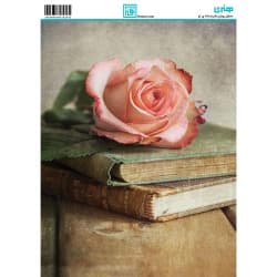 کاغذ دکوپاژ سایز A4 کد 6324