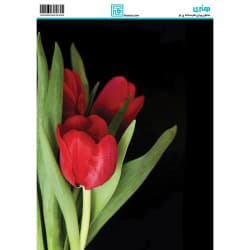 کاغذ دکوپاژ طرح گل سایز A4 کد 6326