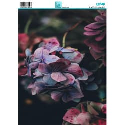 کاغذ دکوپاژ سایز A4 کد 6398