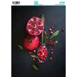 کاغذ دکوپاژ سایز A4 کد  6130