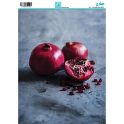 کاغذ دکوپاژ یلدا سایز A4 کد  6133