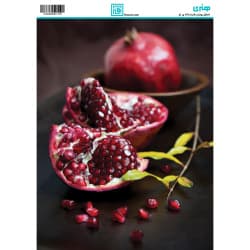 کاغذ دکوپاژ یلدا  سایز A4 کد  6134