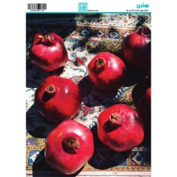 کاغذ دکوپاژ یلدا سایز A4 کد  6142