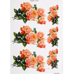 ترانسفر طرح گل سایز A3 کد 1481