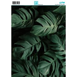 کاغذ دکوپاژ طرح برگ سایز A4 کد 6126