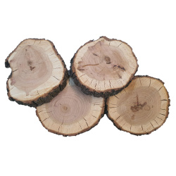 چوب گیلاس قطر 11 تا 15 سانت