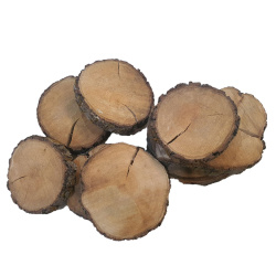 چوب توت قطر 10 تا 13 سانت
