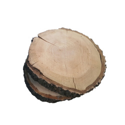 چوب گلابی  قطر 20 تا 25 سانت
