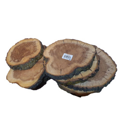چوب گیلاس قطر 15 تا 20 سانت