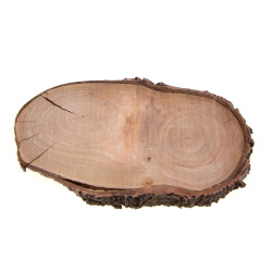 چوب بیضی قطر 31 سانتی متر 