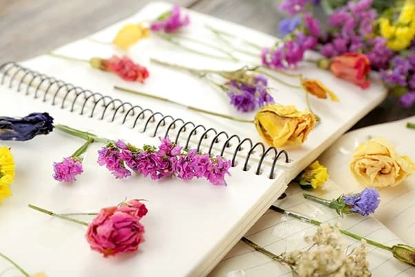 روش خشک کردن گل طبيعی